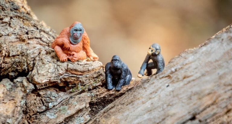 The Best Toy Information You Will Find