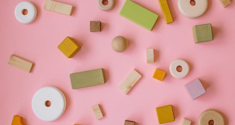 Everything You Have Always Wanted To Know About Toys